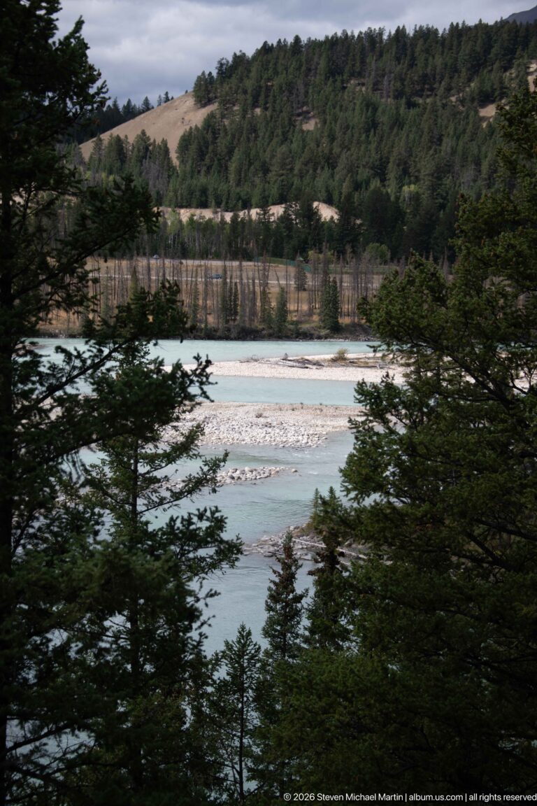 Turquoise river and pale gravel bars seen through dark conifer branches and forest.