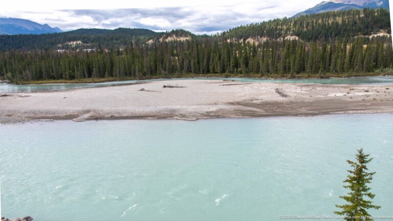 Wide pale gravel bar with driftwood in turquoise river, backed by conifer forest and rocky slopes.