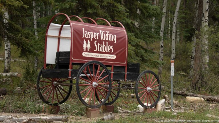 Red covered wagon sign for Jasper Riding Stables among conifer trees beside a roadside marker.