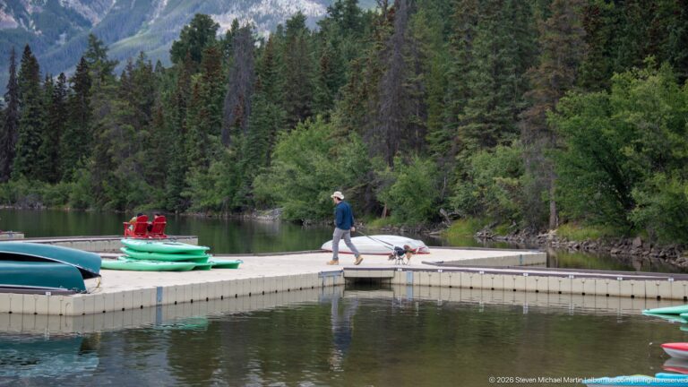 Man walking two leashed beagles on a floating dock beside stacked kayaks and canoes.