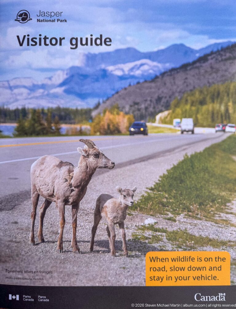 Bighorn ewe and lamb beside a road with a yellow wildlife-safety message telling motorists to slow down and stay in vehicles.