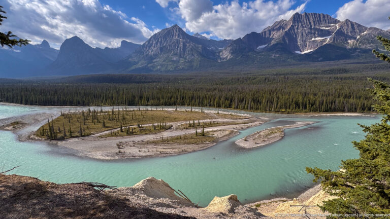Wide elevated landscape with turquoise braided river channels, gravel islands, conifer forest, and steep Canadian Rockies peaks.
