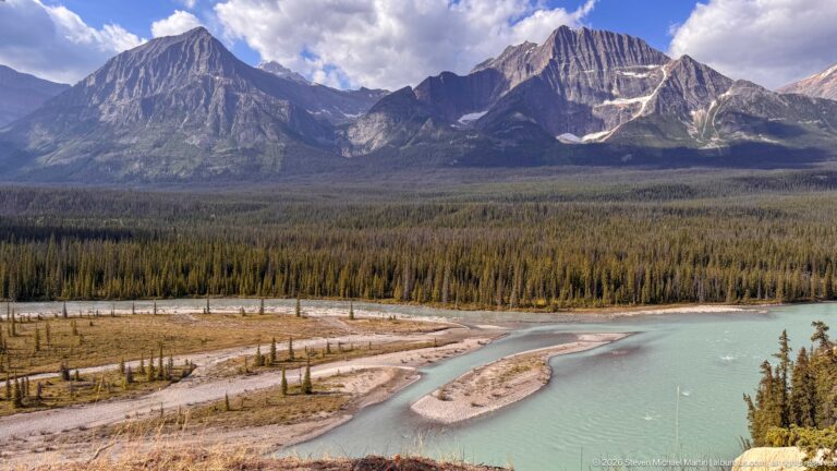 Elevated view of a turquoise braided river, pale gravel bars, conifer forest, and rugged Canadian Rockies mountains.