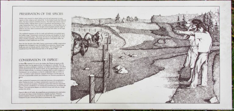Bilingual conservation panel with black-and-white drawing of a person observing a riverbank and wildlife habitat.