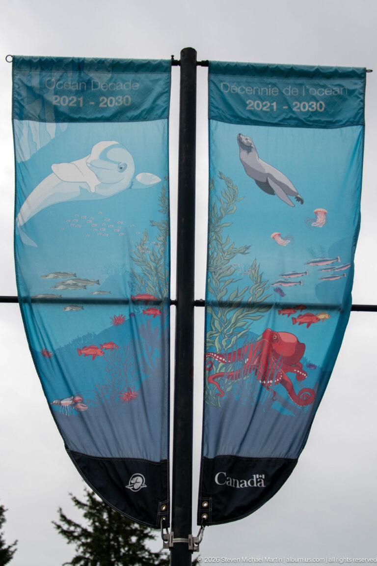 Blue Parks Canada ecosystem-restoration banner with stylized fish, aquatic plants, bird, and wildlife imagery.