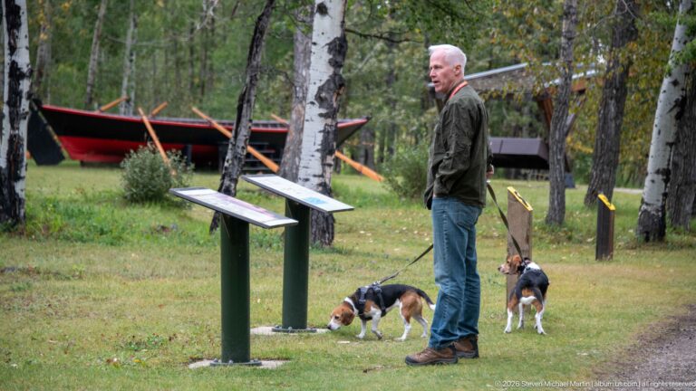 Man holding two beagles on leashes beside outdoor interpretive panels, with a large historic-style boat behind birch trees.