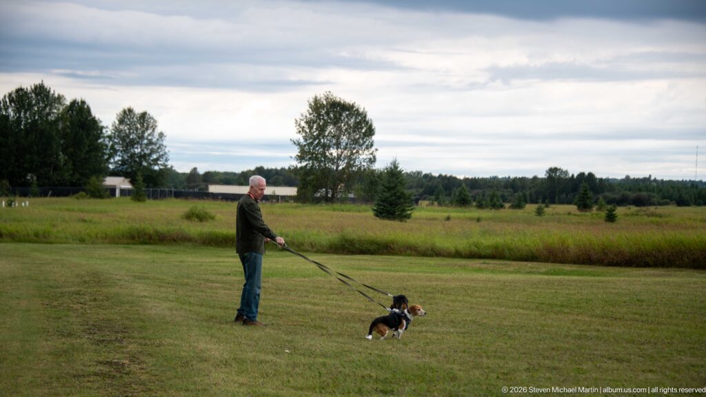 Man walking two small dogs on leashes across a mown lawn with meadow, scattered trees, and cloudy sky beyond.