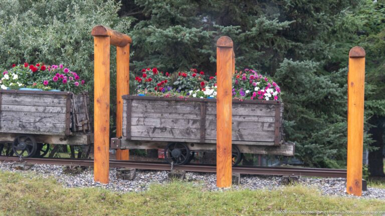 A wooden rail cart filled with flowers sits behind upright timber posts and narrow-gauge tracks.