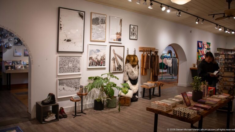 A bear specimen, framed prints, and craft merchandise fill a small gallery-style shop interior.