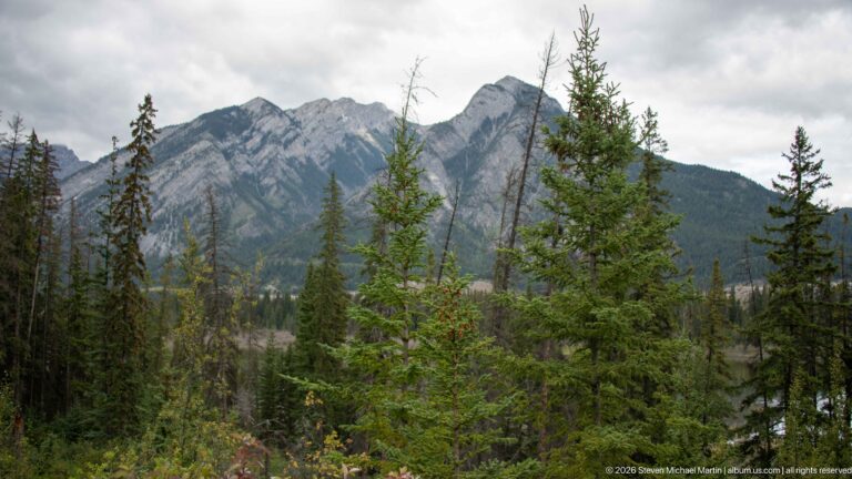 Jagged gray peaks rise above young conifers and a forested valley slope beneath clouds.