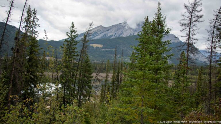 A cloud-softened mountain ridge rises beyond spruce and fir trees and a small meadow opening.