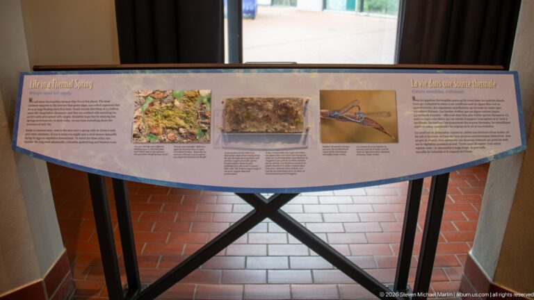A freestanding “Life in a Thermal Spring” panel combines three images with explanatory text.