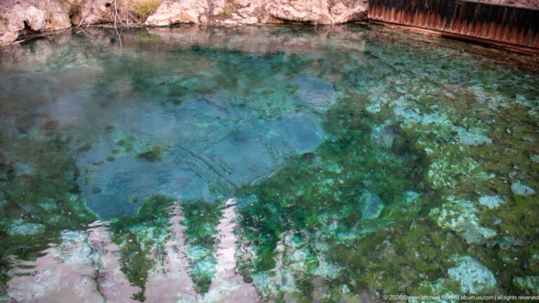 A shallow spring pool reveals pale mineral rock and dark green patches beneath rippling water.