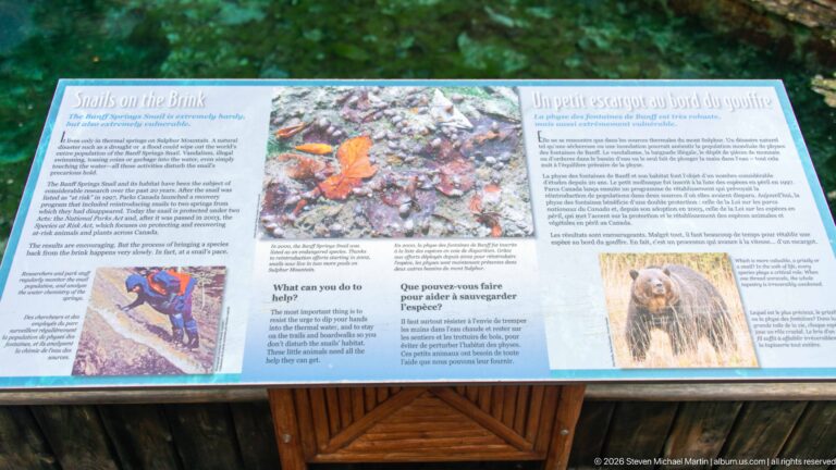 A bilingual “Snails on the Brink” panel explains a small snail beside a green spring pool.