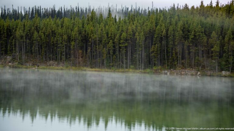 A dense conifer forest and its reflection form matching bands across a calm lake beneath thin mist.