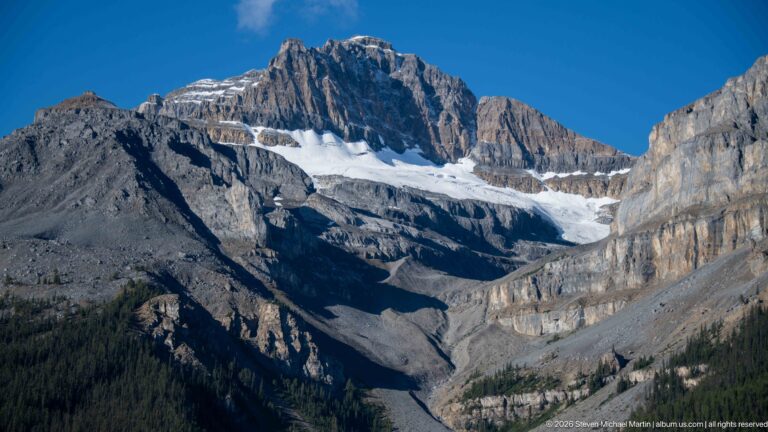 A glacier flows between steep mountains toward a forested valley and broad gray moraine.