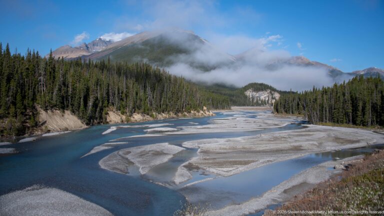 A blue-green braided river crosses gravel bars below a conifer forest and cloud-covered mountains.