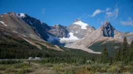A distant glacier sits between steep peaks beyond a broad conifer forest and alpine meadow.