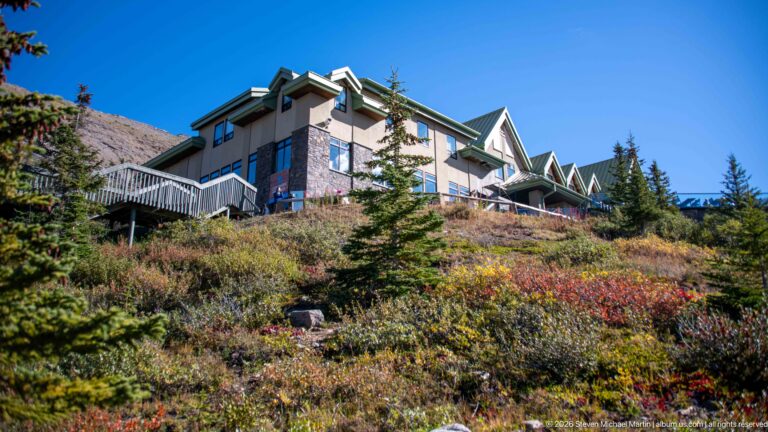 A large green-roofed visitor building stands above alpine shrubs and small conifers.