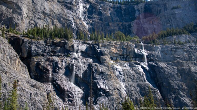 Several waterfalls descend separate channels across a broad pale cliff between pine trees.
