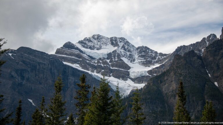 A glacier flows between steep rock walls toward a forested valley, with conifers in the foreground.