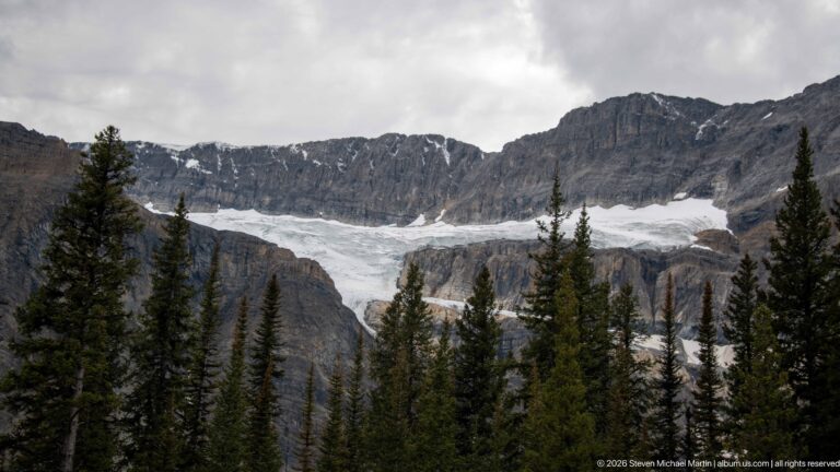 A broad glacier fills a rocky mountain basin behind dark conifers beneath an overcast sky.