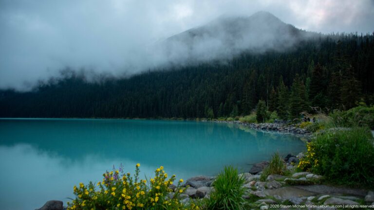 Fog hangs over turquoise Lake Louise and a forested mountainside, with yellow flowers and rocks in the foreground.