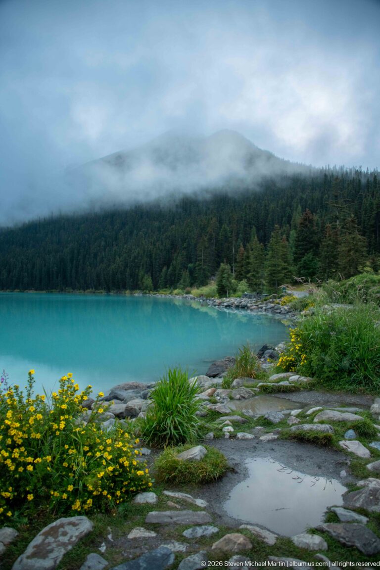 Yellow wildflowers and gray rocks border turquoise water beneath a cloud-covered, forested ridge.