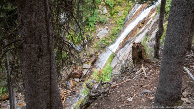 A narrow waterfall drops over rock in a wooded ravine, partly screened by two conifer trunks.