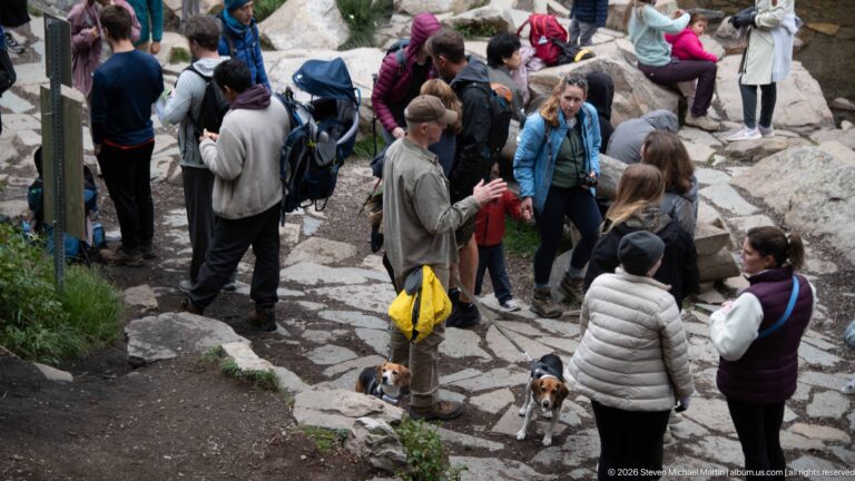 Hikers and two yellow-coated beagles gather on a stone landing beside a mountain teahouse.