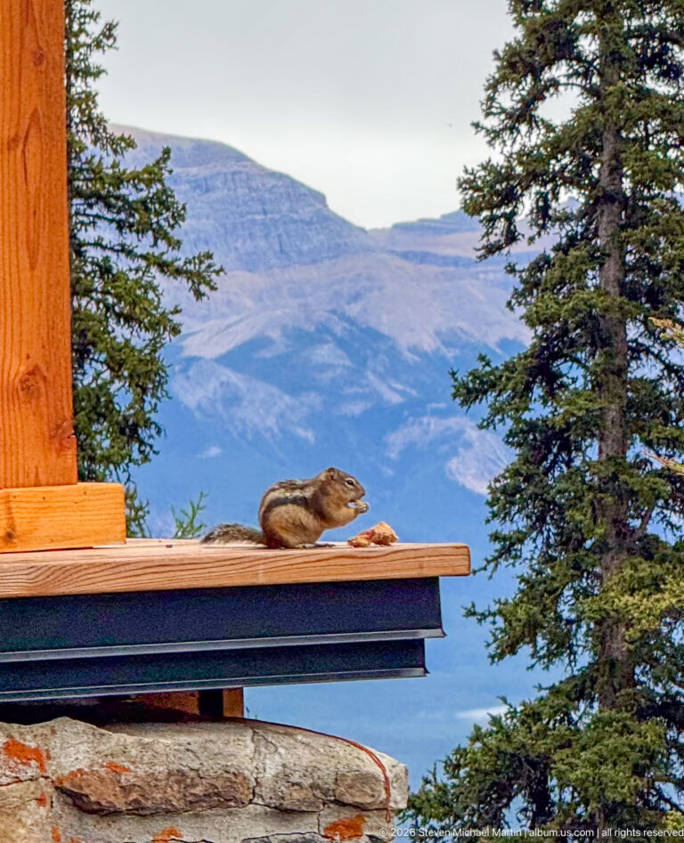 A brown marmot sits on a wooden ledge beside a building, with a blue alpine lake and mountains behind it.