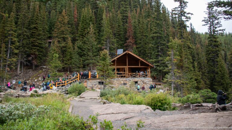 Hikers gather beside a rustic timber teahouse and stone path in a conifer forest.