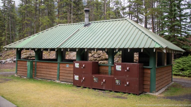 Small timber utility shelter with green metal roof and brown cabinets among conifers.