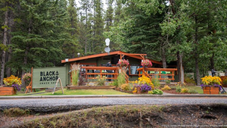 Black Anchor building with timber deck, roadside sign, and colorful flower planters among conifer trees.