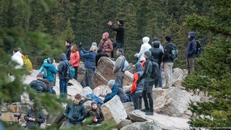 Crowd of visitors standing and sitting on pale boulders among conifers at a Moraine Lake viewpoint.