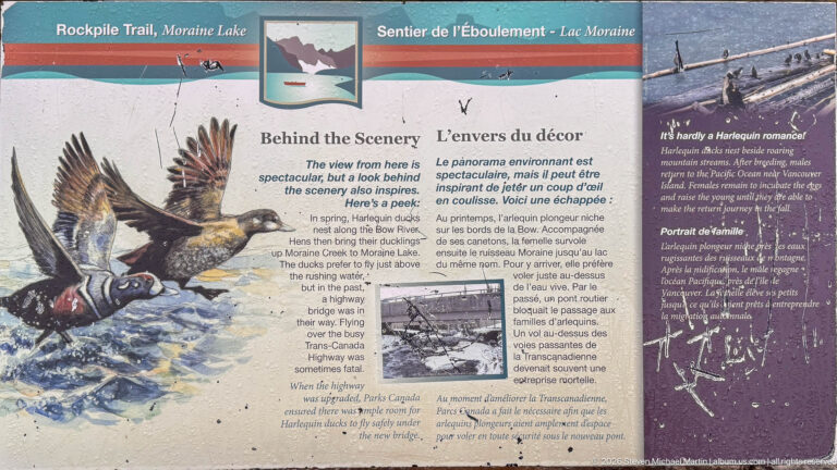 Bilingual Moraine Lake interpretive panel titled Behind the Scenery, with eagle illustration, text, and historic romance-cover imagery.