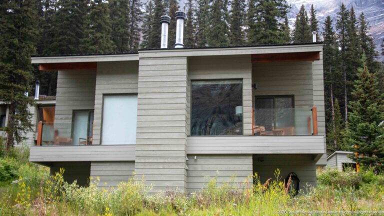 Modern lodge guest building with large windows and central chimney surrounded by conifers and meadow plants.