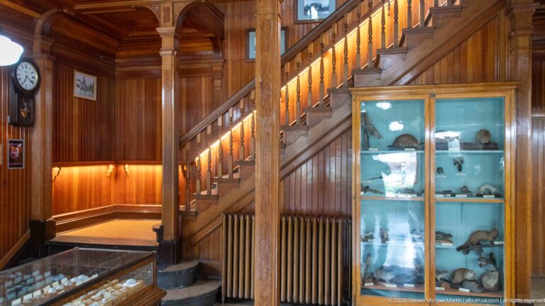 Wooden staircase with turned balusters beside a tall glass cabinet of small mounted mammals.