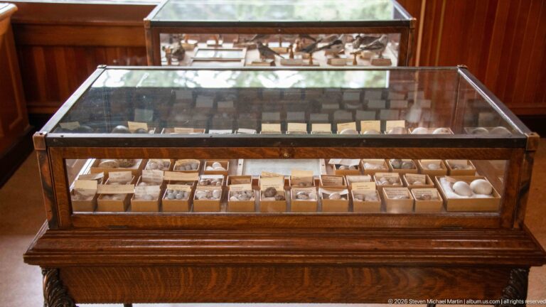 Glass-topped wooden case containing rows of small specimen boxes and bird eggs.