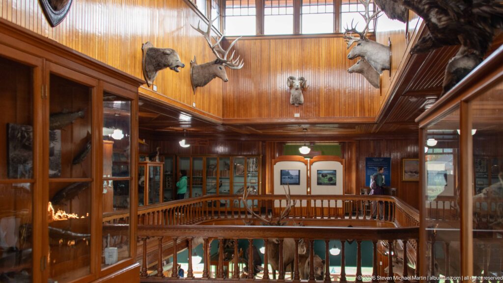 Upper-gallery view with glass specimen cases, central balustrade, wood paneling, clerestory windows, and mammal mounts.