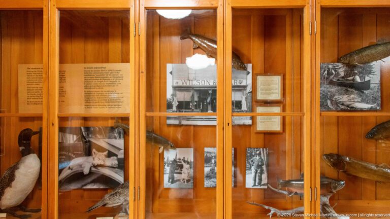 Wooden glass case containing mounted waterbirds, archival photographs, and historical interpretive text.