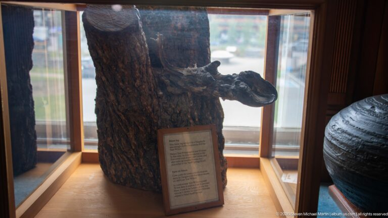 Small mammal head emerging from a hollow tree trunk in a glass display with an interpretive card.