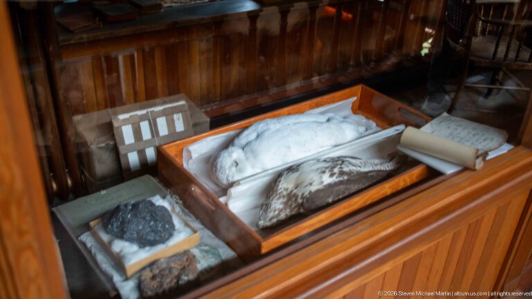 Cabinet containing a preserved bird, specimen trays, sample blocks, and paper records behind glass.