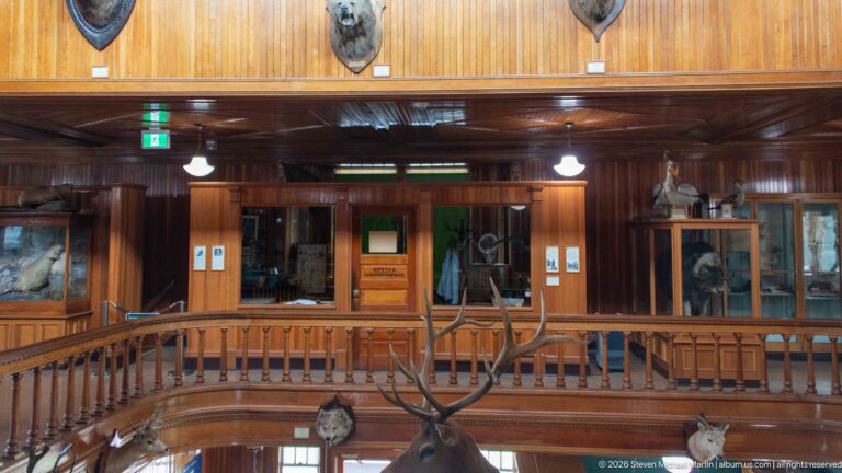 Wood-paneled upper gallery overlooking the museum hall with balustrades, display cases, antlers, and mounted heads.