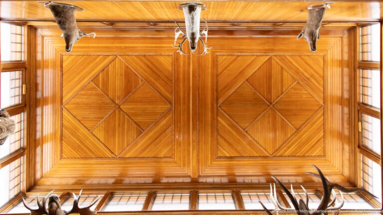 Upward view of geometric wood ceiling panels, clerestory windows, antlers, and mounted specimens.