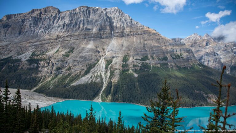 Layered gray limestone mountain rises above a narrow turquoise section of Peyto Lake, with scree gullies descending through forest.