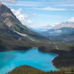 Turquoise Peyto Lake below a high viewpoint, with a forested valley and distant Canadian Rockies extending beyond the shoreline.