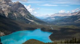 Turquoise Peyto Lake below a high viewpoint, with a forested valley and distant Canadian Rockies extending beyond the shoreline.