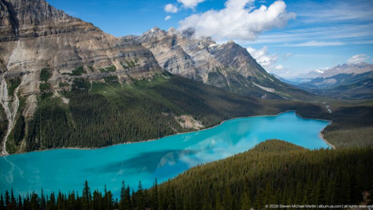 Bright turquoise Peyto Lake curves through forest beneath layered gray mountains and scattered white clouds.