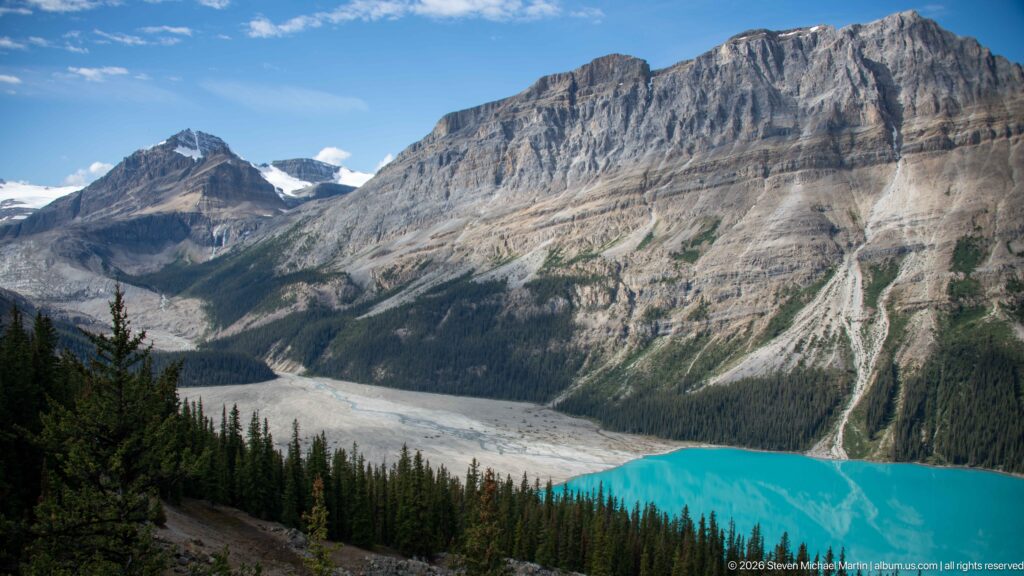 Turquoise Peyto Lake below a layered limestone escarpment, with pale valley debris, conifer forest, and distant snow or ice.